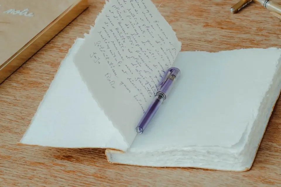 Mélanie Plantier — photo 6