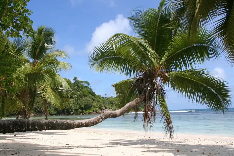 Voyages - Horizons Insolites — photo 5