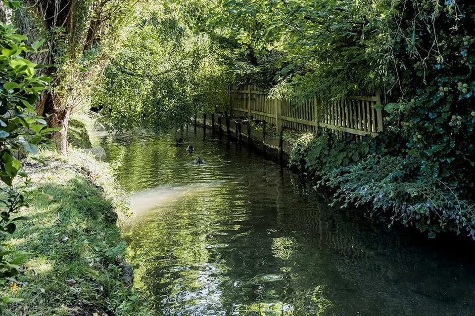 Le Moulin de la Reillère — photo 6