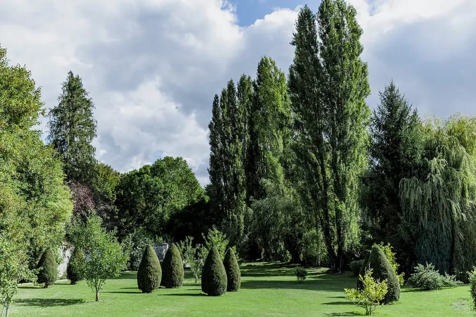Le Moulin de la Reillère — photo 4