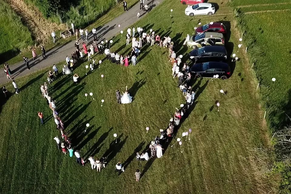 Alliance Projection — photo 5