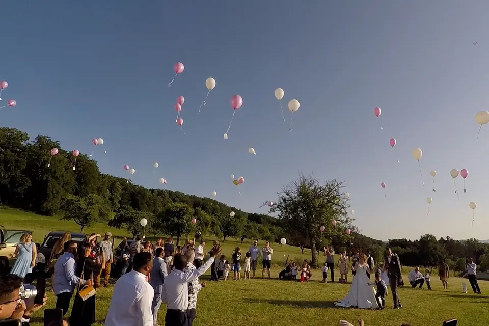 Alliance Projection — photo 6