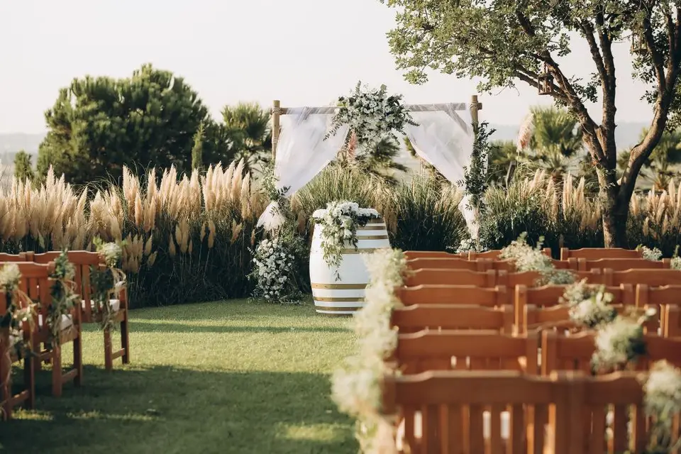 Steve Gerolt — photo 2