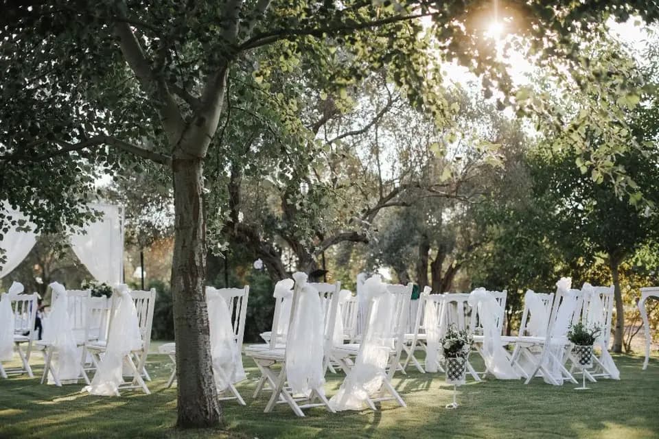 Steve Gerolt — photo 3