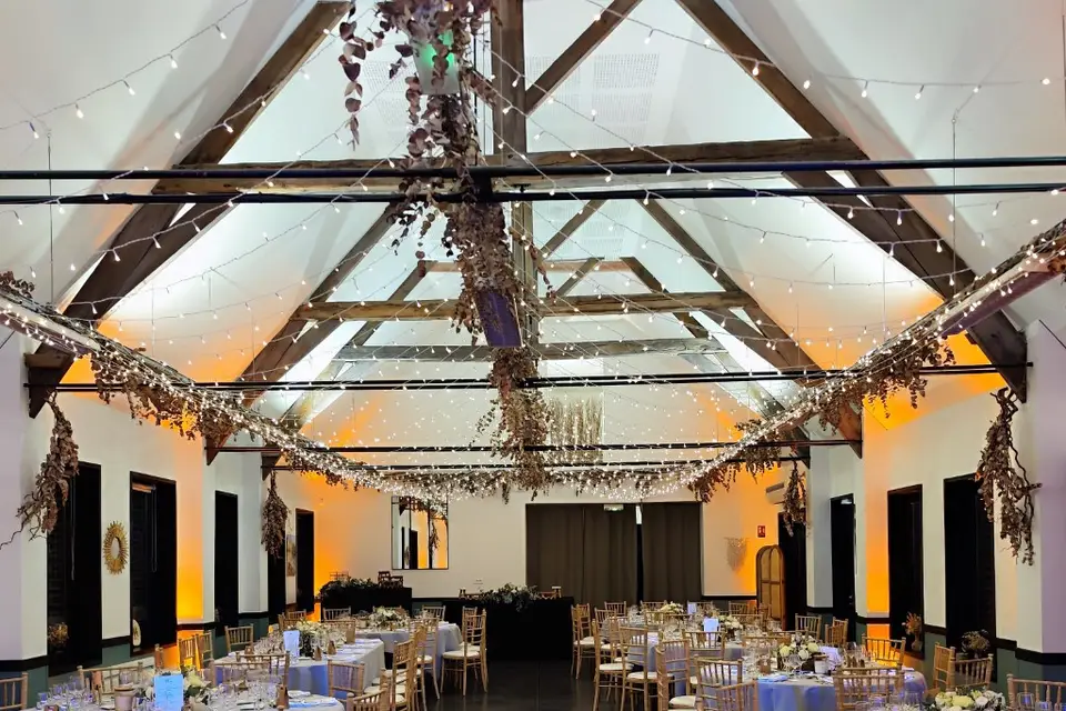 Tom'D Sono — photo 5