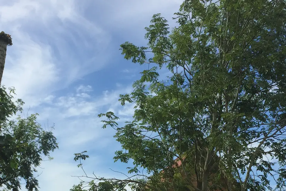 Le Charme des Peupliers — photo 2