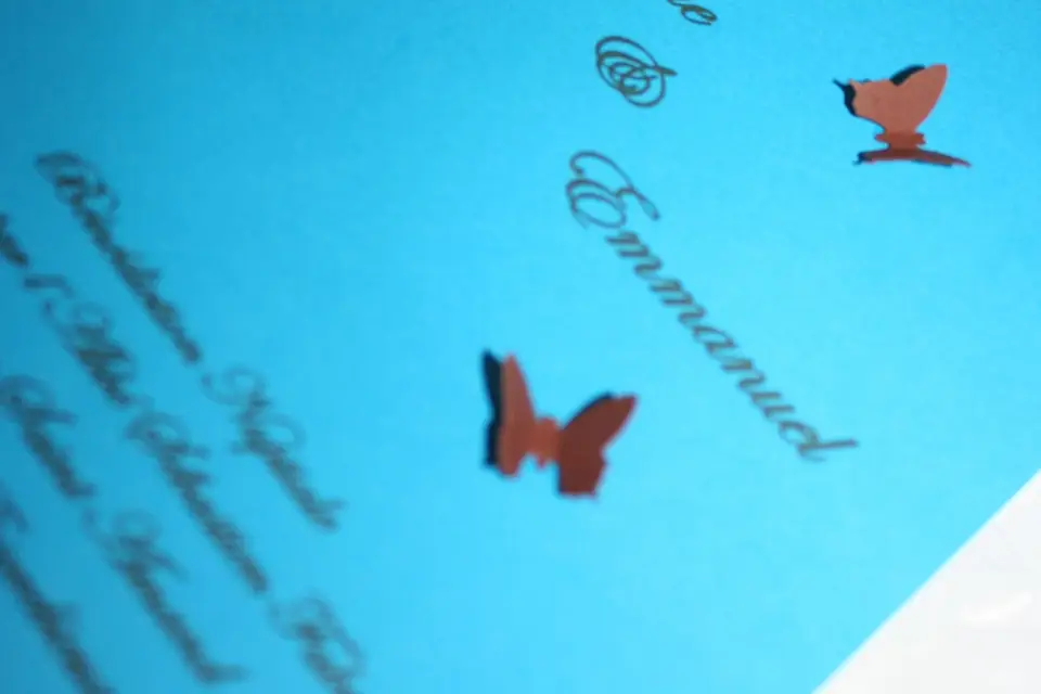 Prestige d'un Jour — photo 4