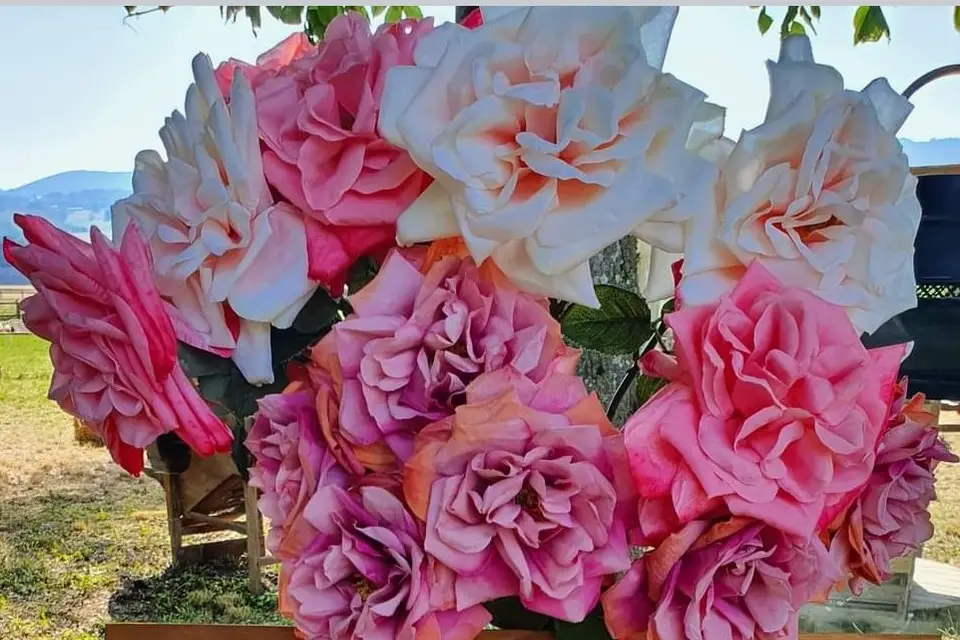 Your Happiness Moments — photo 8