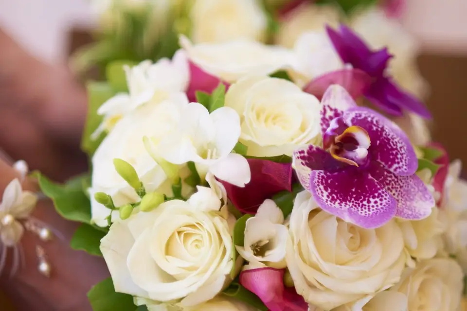 L'atelier de Vik — photo 6