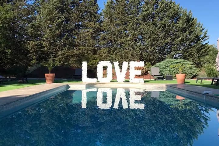 Stessy Fleurs — photo 4