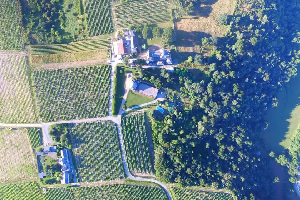 Chateau Piéguë — photo 7