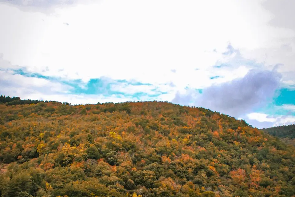 Esc Location — photo 5