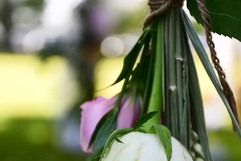 Domaine Scarabée — photo 6