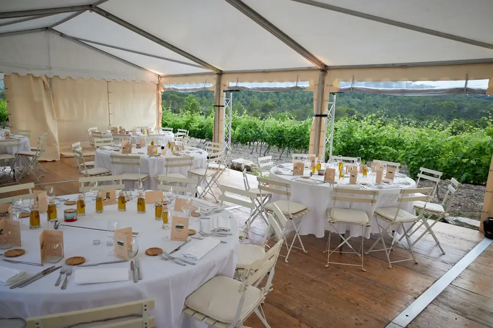 Domaine Mas de Martin — photo 8