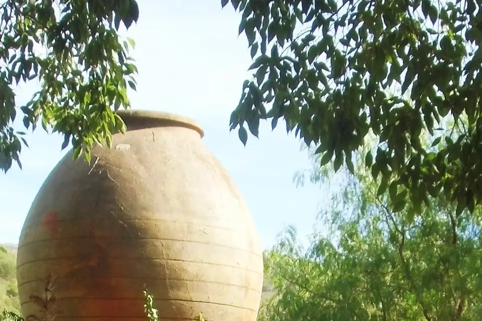 Au Dolium — photo 8