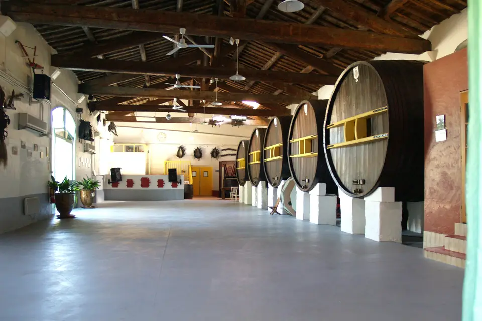 Au Dolium — photo 1