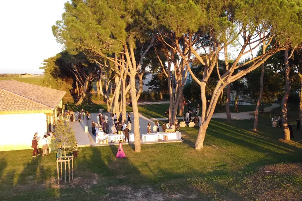 Château Saint Louis la Perdrix — photo 4