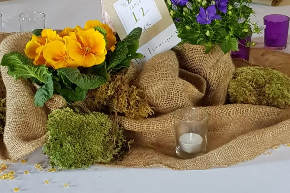 La Belle & La Fée — photo 2