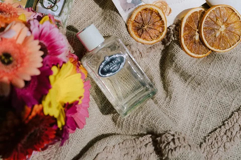 Maison Lemaistre — photo 5