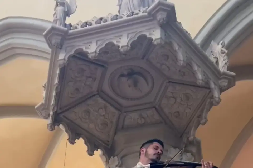 Orchestral Harmony — photo 2