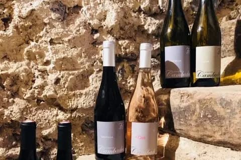 Les Saveurs de nos Grappes — photo 4