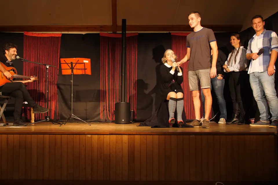 Chats perchés — photo 6