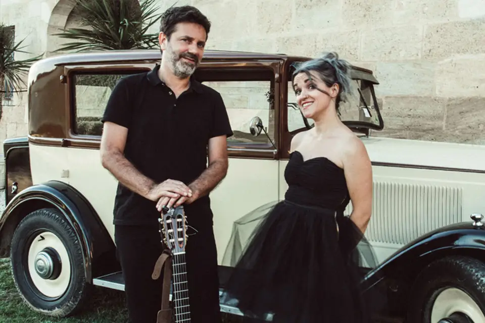 Chats perchés — photo 2