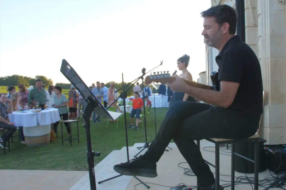 Chats perchés — photo 3