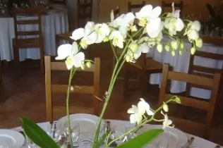 La Ferme des Roches — photo 2