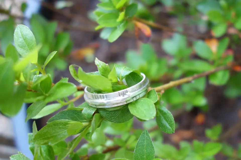 Pétale d’argent — photo 6