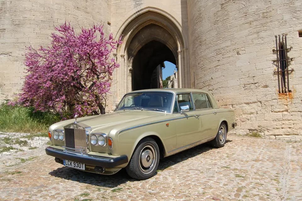 Locarolls — photo 1