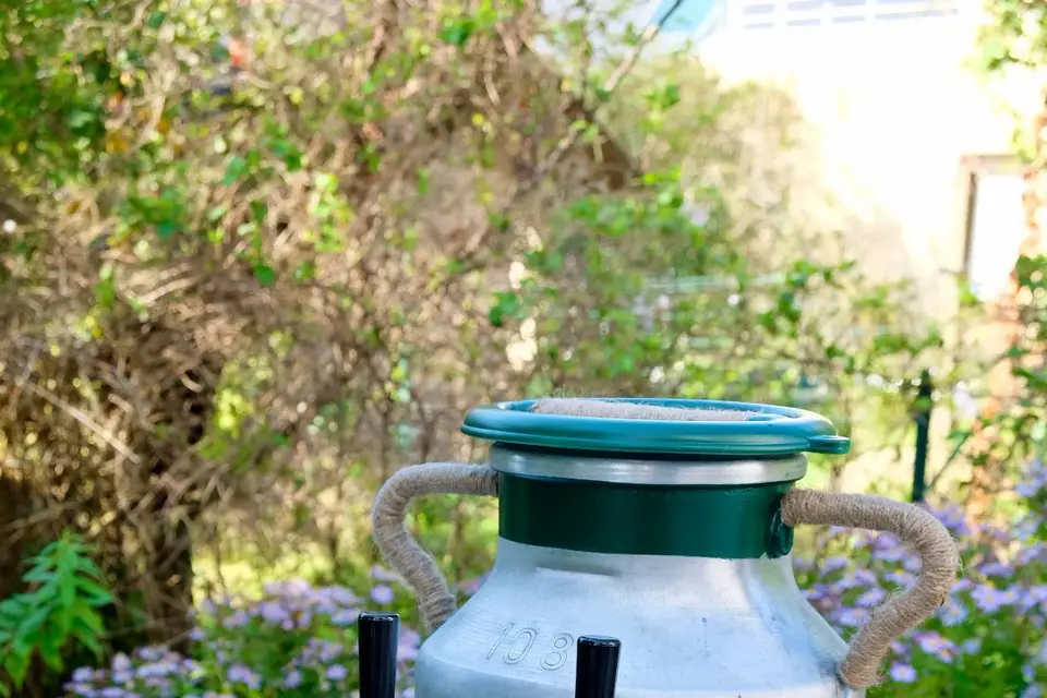 Sabulle Cocktail — photo 2