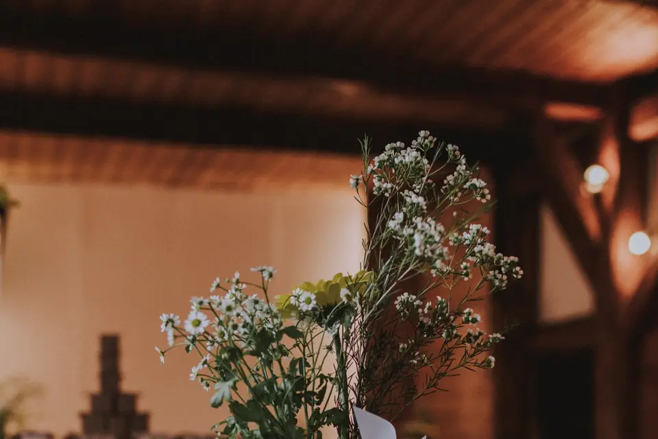 Véyane Events — photo 8