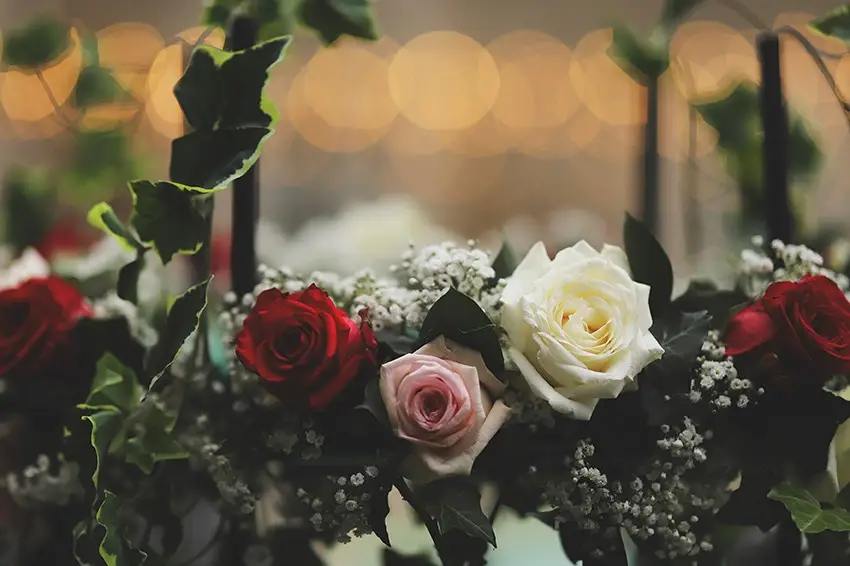 Angélique Audousset — photo 3