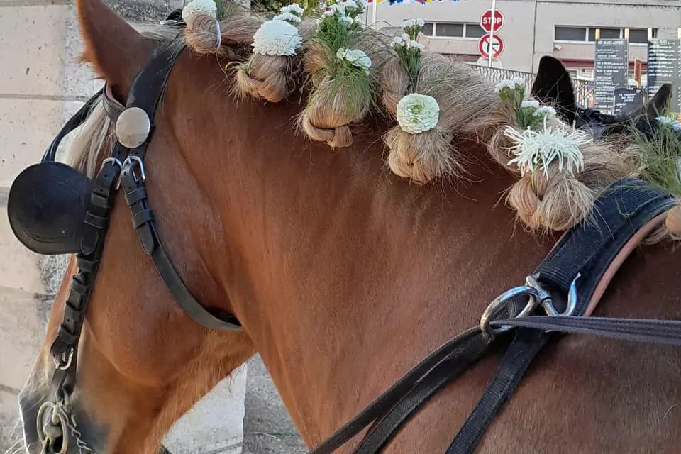 L’Échappée Pastorale — photo 2