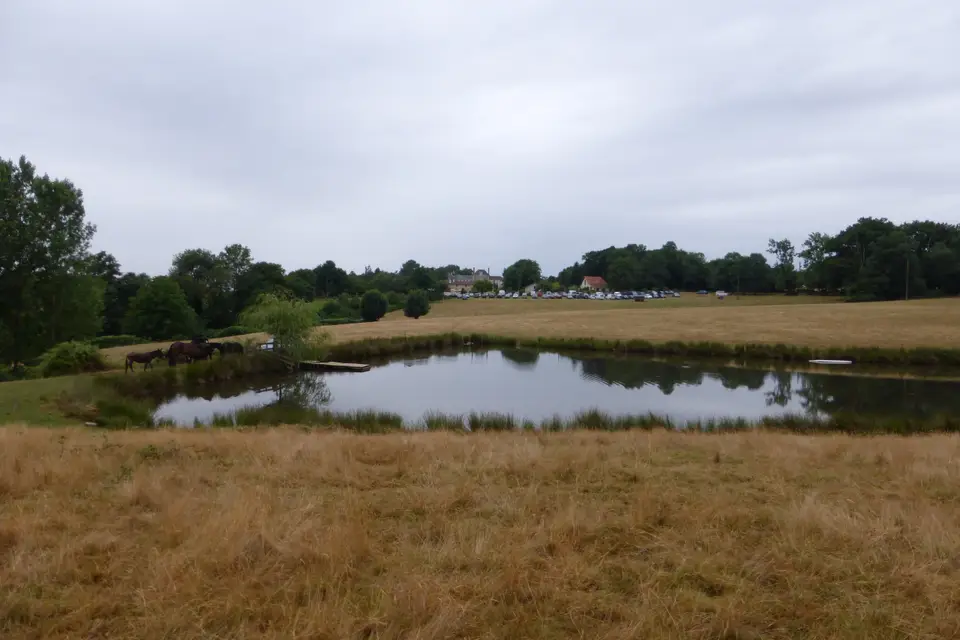 Domaine de la Garneraie — photo 8