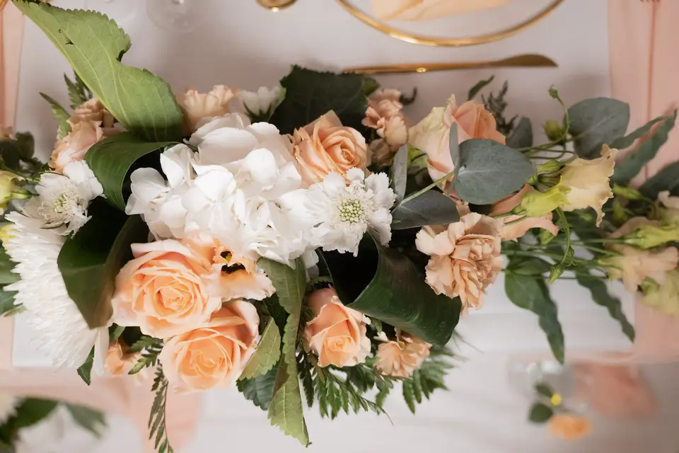 Fancy Celebrations — photo 8