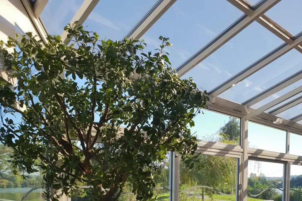 Lac de Caniel — photo 4