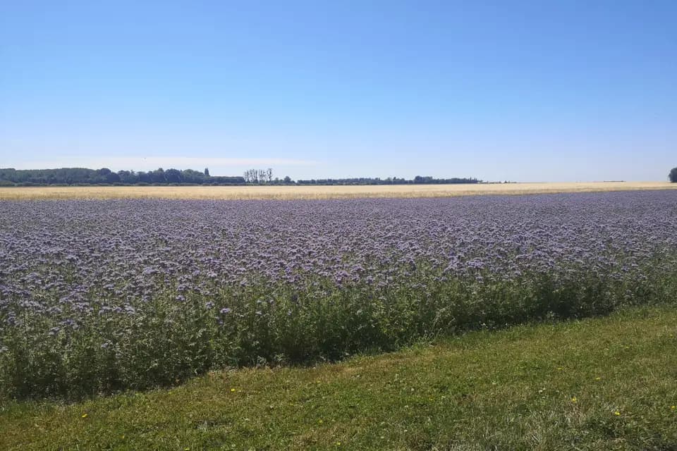 La Ferme de Passy — photo 2