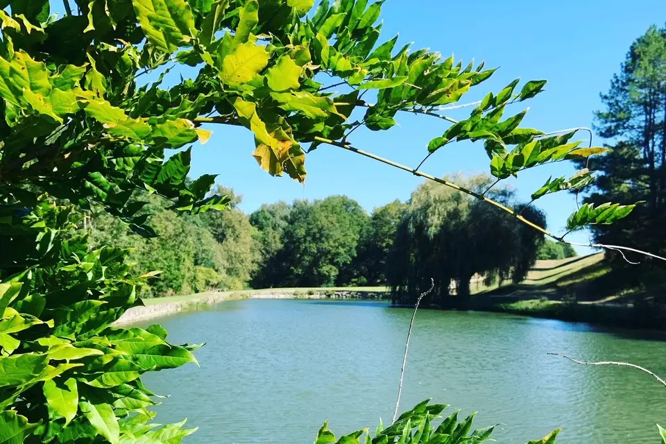 La Vaucouleurs — photo 7