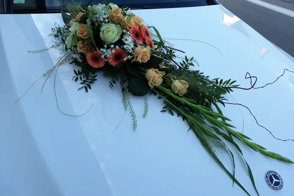 Ain Fleurs et Sens — photo 5