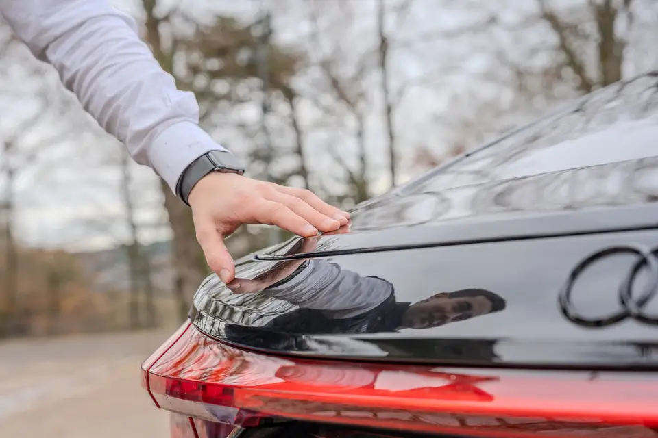 Lemauviel exclusive — photo 2