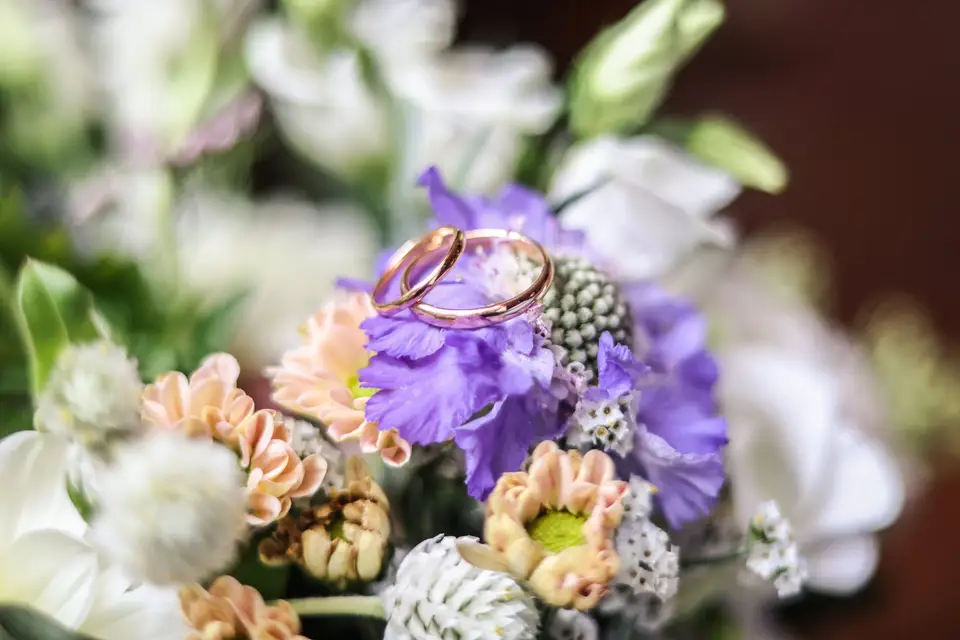 MylèneB Photographie — photo 5