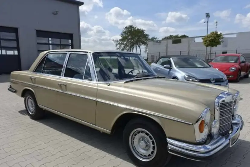 Paradize — photo 1