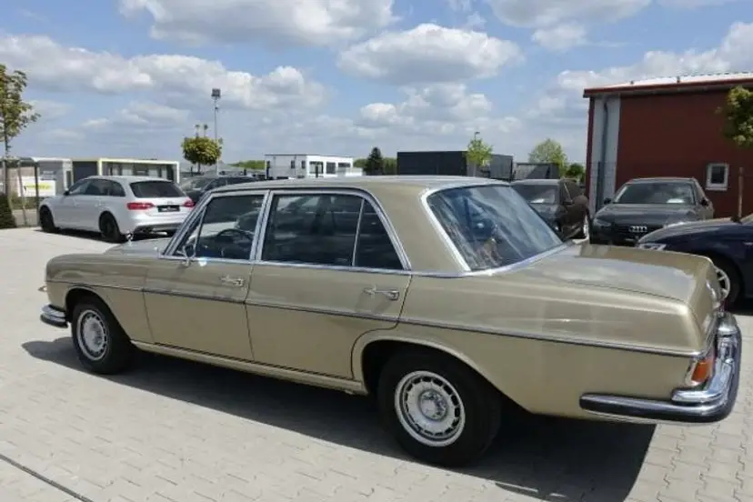 Paradize — photo 2