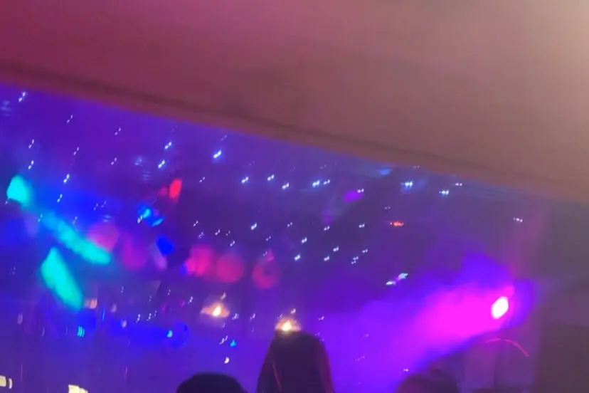 DJ'tal Animation — photo 6