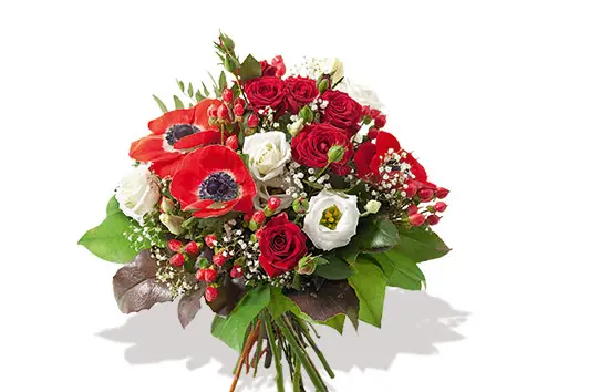 Nature et Tendance — photo 4