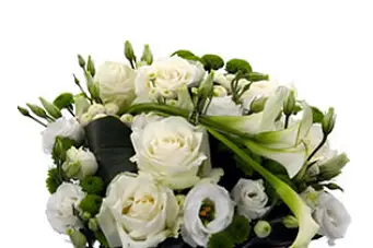 Nature et Tendance — photo 6