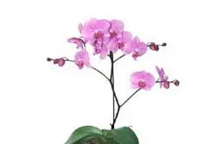 Nature et Tendance — photo 1