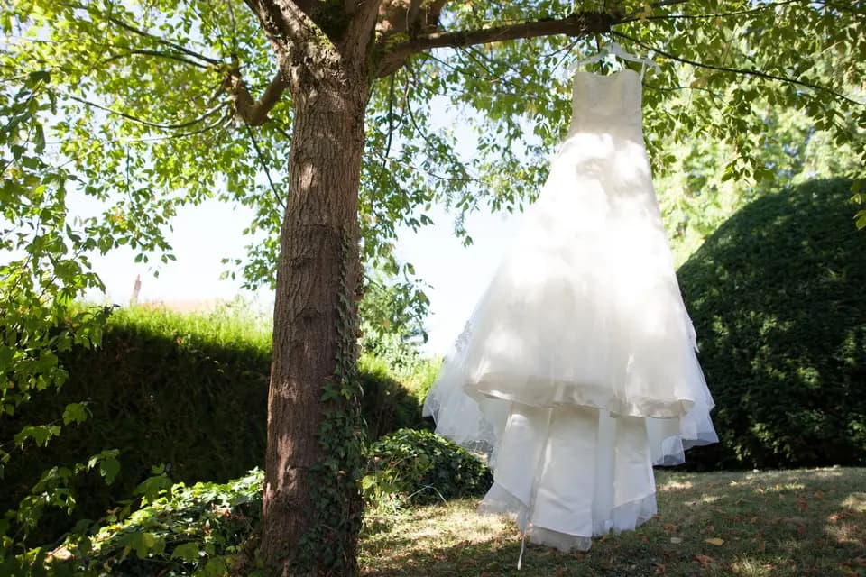 Les films de Larose — photo 6